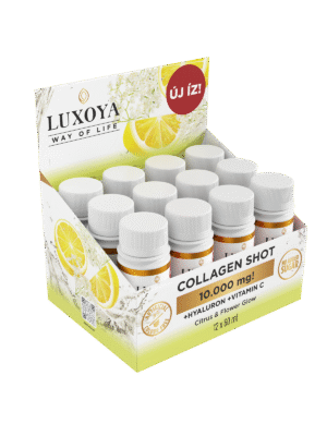 L-CARNITINE SHOT 3.000 mg TEKUTÝ L-KARNITIN -CITRÓN BAZA